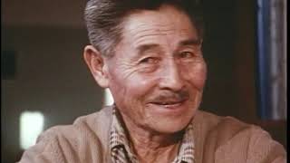 Fires of Spring H.T. Lewis (edited)