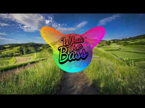 Dimitri Vegas & Like Mike vs KSHMR - Opa (Bass Boosted)