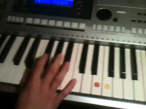 Der Profi Keyboarder