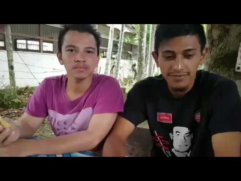 Mi tre sxatas trinkas la lakton.kaj vi,cxu vi amas trinkas la lakton mia kara amiko