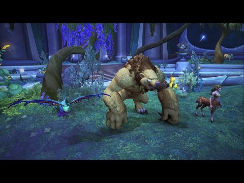 Council of Dreams normal pug (BM monk PoV)