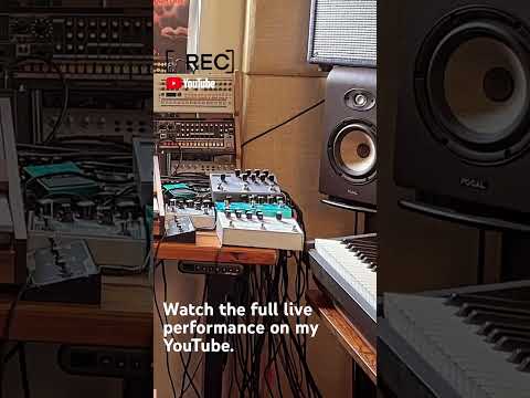 Berlin School electronic music live performance