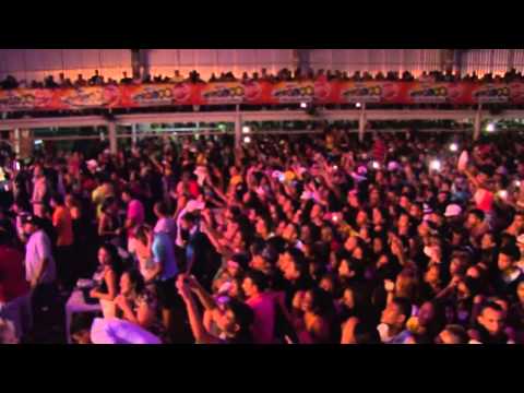 DVD Conde Do Forró Ligando Os Fatos