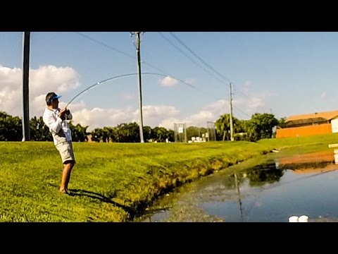 Agua Dulce Pesca con Mosca - Bass en Canales y Lagunas Video # 05 Florida USA