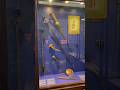 Chatrapati Shivaji Maharaj Sword ️ In Mumbai Museum Sivaji Shorts