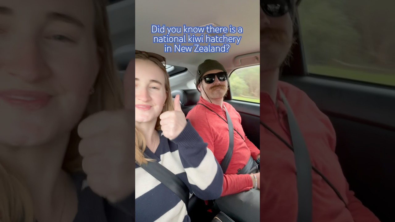 YouTube Short thumbnail