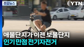 애물단지가 이젠 보물단지...인기 만점 전기자전거 / YTN