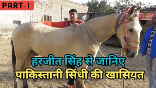 Download lagu जानिए हरजीत सिंह जी से पाकिस्तानी सिंधी घोड़ों के बारे में mp3