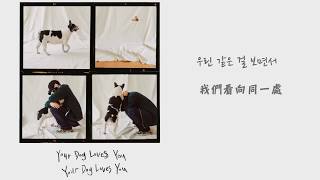 【中韓字】BREAKERS [풀버전] Colde 콜드 - Your Dog Loves You (feat.Crush 크러쉬)