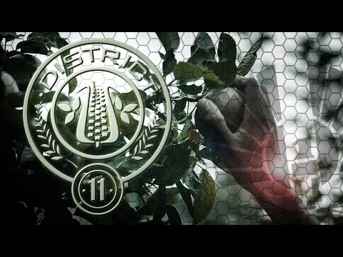 Tales of The Hunger Games: The 100th games (District 11)
