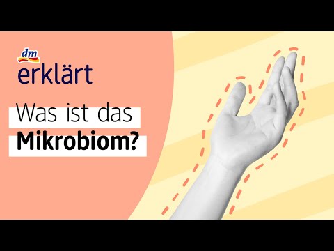 Mikrobiom aufbauen & stärken | dm erklärt