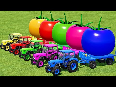 LOAD & TRANSPORT GIANT TOMATOES WITH MERCEDES & DEUTZ TRACTORS - Farming Simulator 22