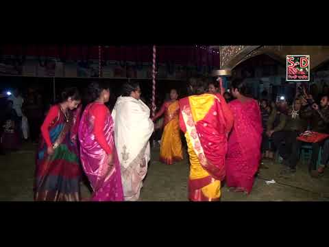 Pala gan dimale koty