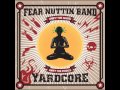 Fear Nuttin Band - Vibes 