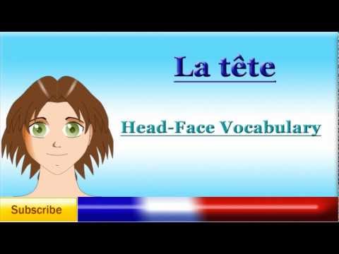 French Lesson 40 - Learn French Body Parts Vocabulary -  Head and Face - partes del cuerpo frances