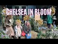 Chelsea Flower Show Chelsea In Bloom 2025 London S Streets Are Unrecognizable