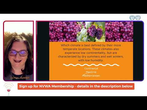 Wine Trivia - Napa Valley Wine Academy 3 - Wine 201 - Trivia - #wset with Liz Pirnat