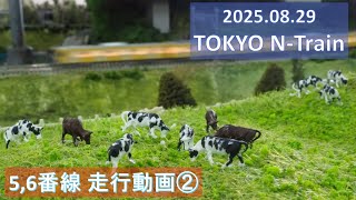 2025/08/29 TOKYO N-Train 5,6番線 走行動画 Part2 【鉄道模型・Nゲージ】