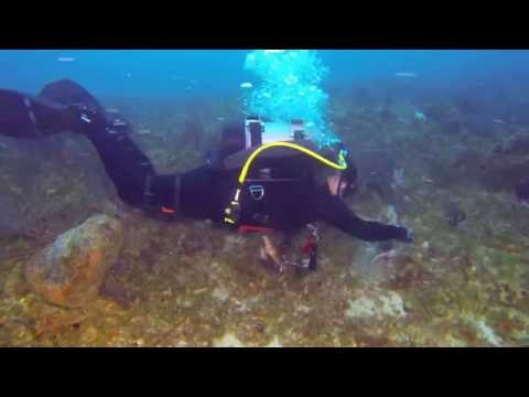 Emily Spears Lionfish, Trim and String them