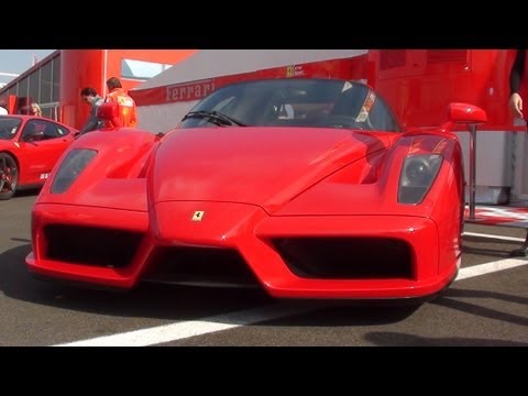 Ferrari Enzo Ferrari