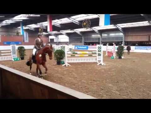 Albatros x Lycos/Sion