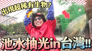 池水抽光好吃驚in台灣！抽光中興大學池  竟出現一堆超怪生物？《池水抽光好吃驚》｜緯來日本台