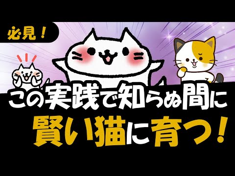 5 つの簡単なヒントで知性を高める: さらに賢くなる方法