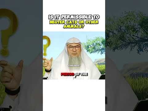 Is it permissible to spay or neuter Cats or other animals? #assimalhakeem #sunnah #islamicvideo