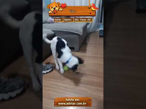 Vídeo de Thor