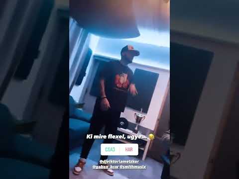 Metzker Viktoria x BSW - Volt ami volt (promo)