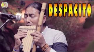 Download lagu #LuisFonsi #Despacito #ImposibleFonsi - Despacito ft. Daddy Yankee - Flute - Instrumental mp3 Download lagu #LuisFonsi #Despacito #ImposibleFonsi - Despacito ft. Daddy Yankee - Flute - Instrumental mp3