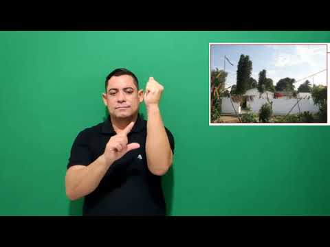 Miniatura do vídeo: Terreiro 046