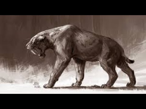 TAMING SMILODON + CRAFT SELLE -Ark survival evolved