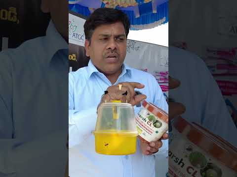 Using Akarsh CL paste can completely prevent fruit fly in vine vegetables..#fruitfly #viral