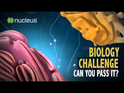 Can You Answer ALL 28 Questions on Basic Cell Biology