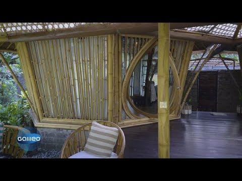 Video Thumbnail: Meister des Bambus: John Hardys Bambus-Imperium auf Bali