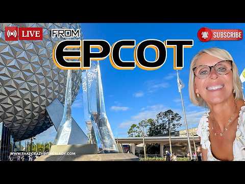 Live webcam of That Crazy Disney Lady