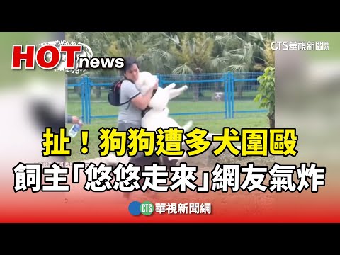 扯！狗狗遭多犬圍毆　飼主「悠悠走來」網友氣炸