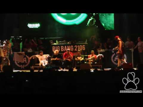 Wolf vs Ecko - 1era Ronda Big Bang Festival 2016