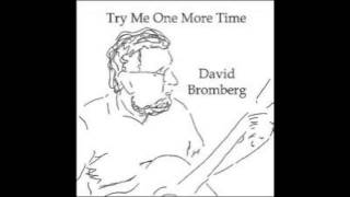 David Bromberg - I Belong To The Band