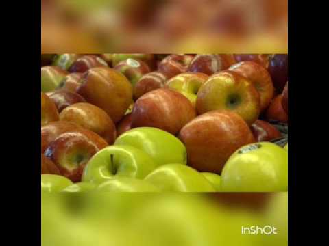 Praise Pride Taunton Ma