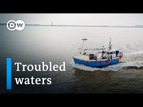 Brexit and British Fishermen