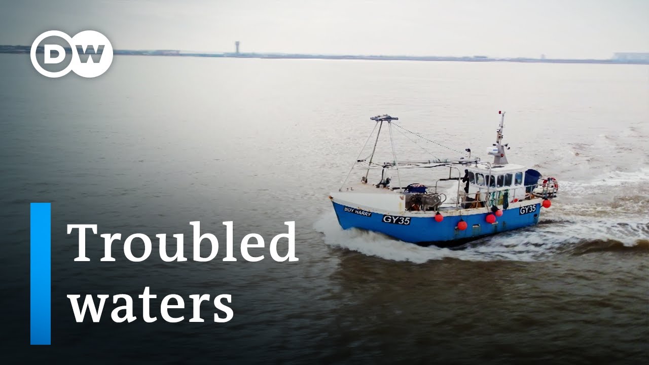 Brexit and British Fishermen