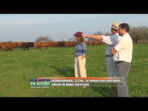 El Calá se prepara para una nueva edición de Angus Entrerriano - Rodolfo Garat