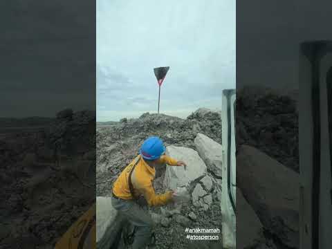 Gangguij sarang tawon vespa #shorts #tawonvespa #viraltiktok #comedy