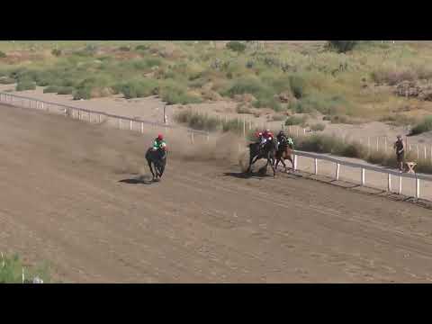 ANA MARIA  Club Hípico Añelo - Añelo - Neuquén - 12-03-2023