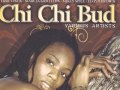Chi Chi Bud Riddim - Joe Frasier Label - 