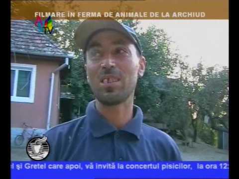 Cafeaua de seara Ferma de la Archiud clip1