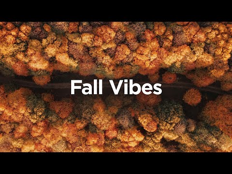 Fall Vibes 🍁 Cozy Chillout Mix for Positive Energy