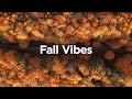 Fall Vibes Cozy Chillout Mix For Positive Energy